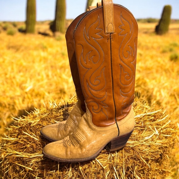 Dan Post vintage Brown and Tan Western rhino cowgirl Boots 6.5 C